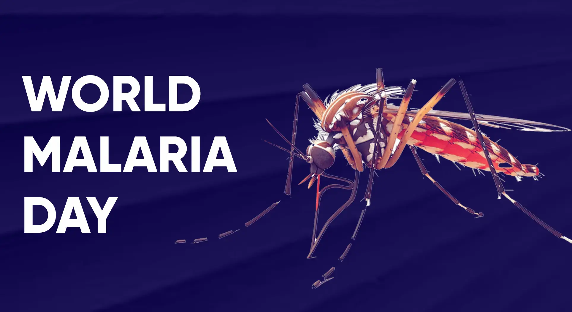 World Malaria Day 2025